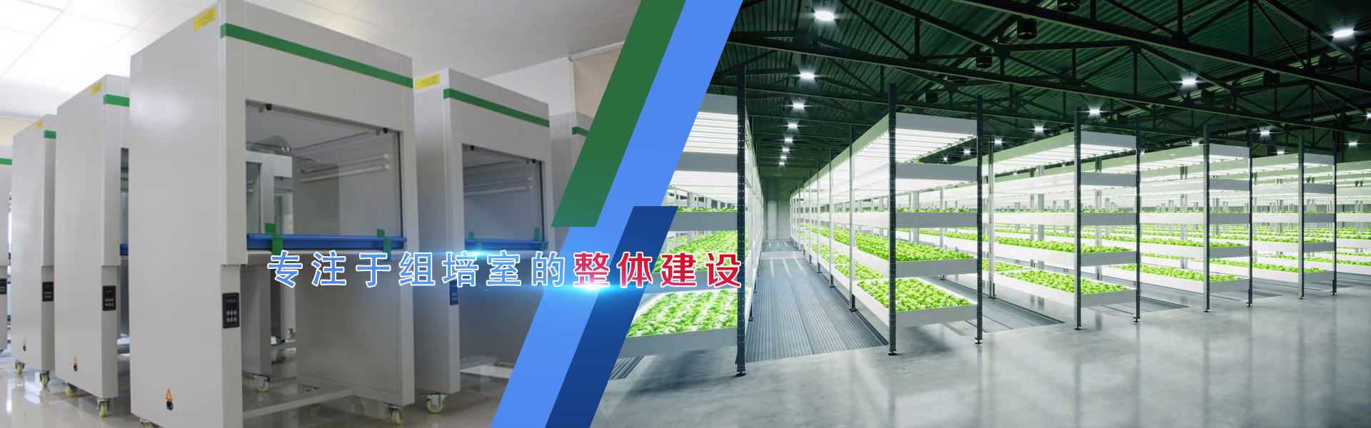 黄瓜下载APP最新版官方下载、黄瓜下载APP最新版官方下载架