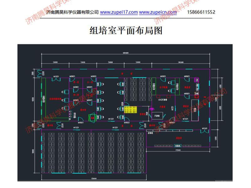 黄瓜下载APP最新版官方下载室