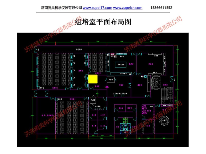 黄瓜下载APP最新版官方下载室