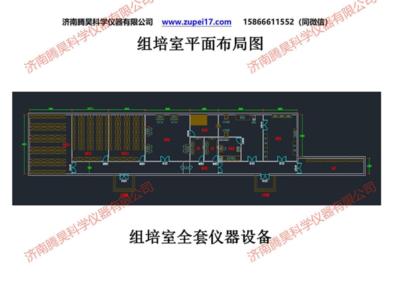 黄瓜下载APP最新版官方下载  黄瓜下载APP最新版官方下载室