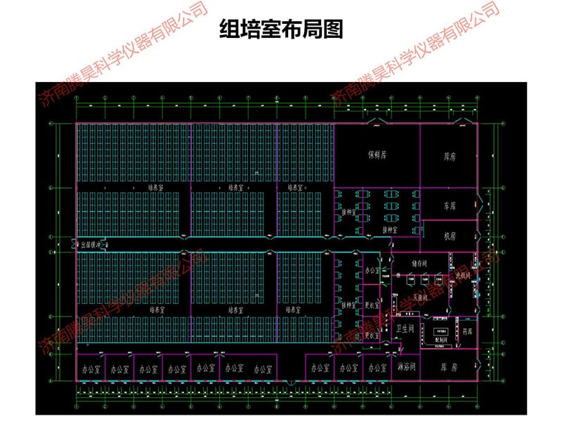 黄瓜下载APP最新版官方下载室