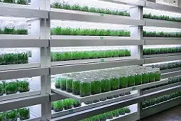 黄瓜下载APP最新版官方下载室