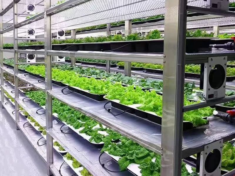 黄瓜下载APP最新版官方下载  黄瓜下载APP最新版官方下载室