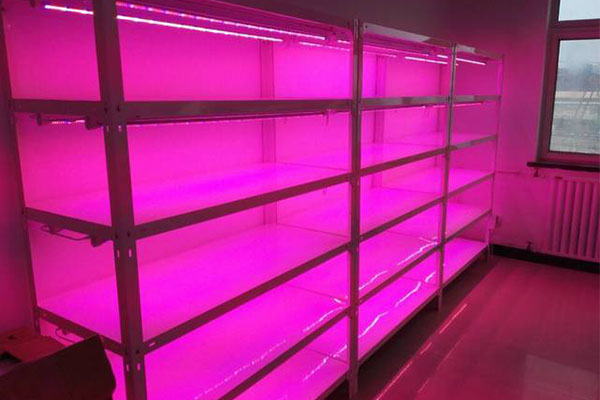 黄瓜下载APP最新版官方下载儀器廠家
