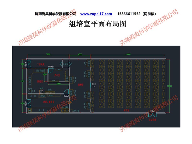 黄瓜下载APP最新版官方下载室