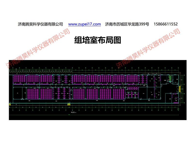 黄瓜下载APP最新版官方下载  黄瓜下载APP最新版官方下载室