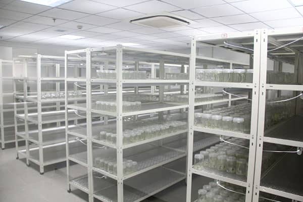 黄瓜下载APP最新版官方下载架