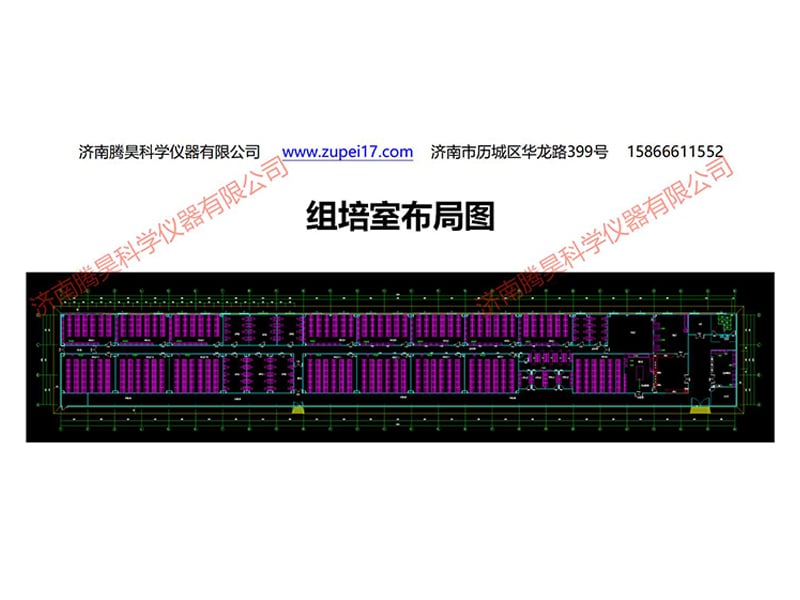 黄瓜下载APP最新版官方下载室