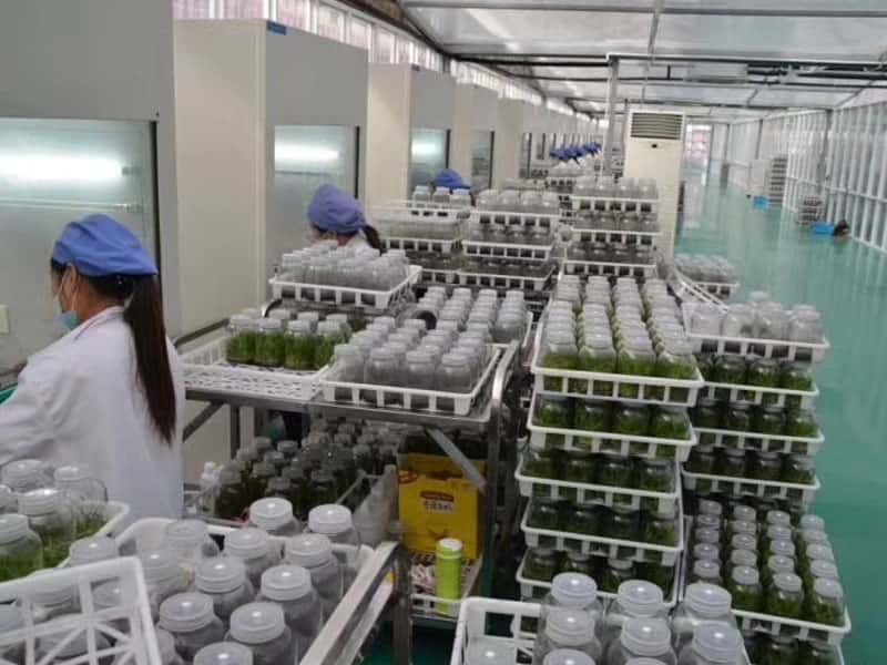 黄瓜下载APP最新版官方下载設備