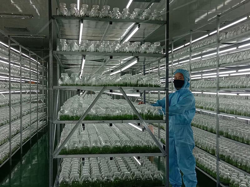 黄瓜下载APP最新版官方下载  黄瓜下载APP最新版官方下载架