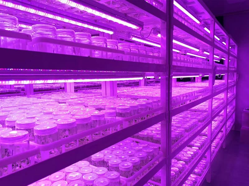 黄瓜下载APP最新版官方下载  黄瓜下载APP最新版官方下载架