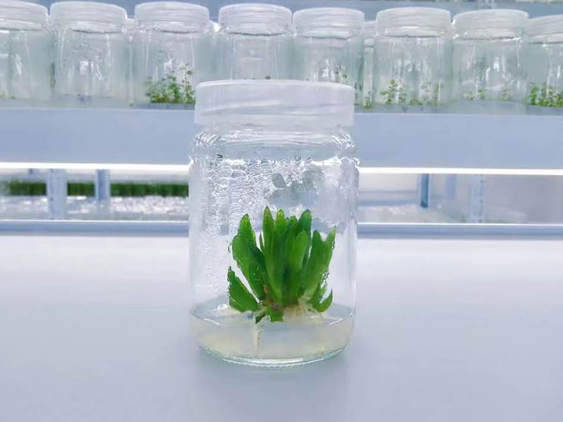 黄瓜下载APP最新版官方下载瓶