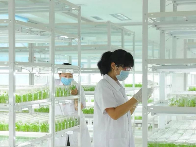 黄瓜下载APP最新版官方下载  黄瓜下载APP最新版官方下载架