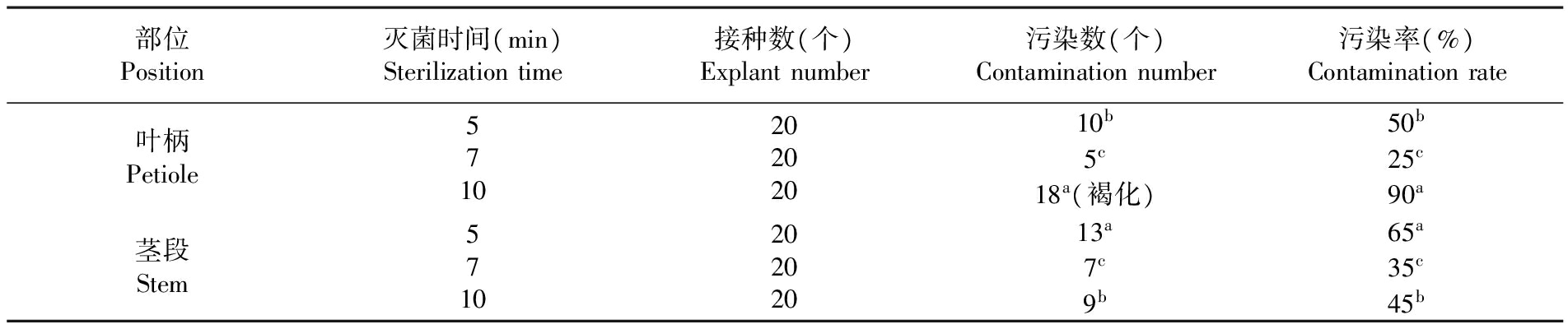 植物黄瓜下载APP最新版官方下载設備