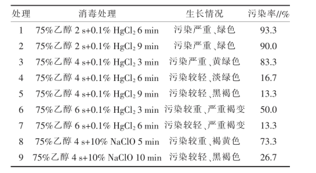 黄瓜下载APP最新版官方下载室