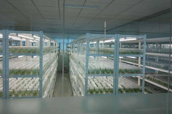 黄瓜下载APP最新版官方下载室
