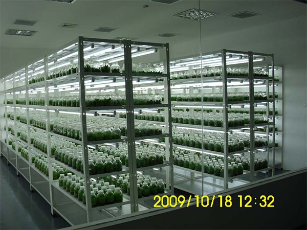 黄瓜下载APP最新版官方下载室設計