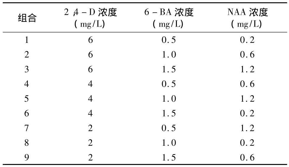 黄瓜下载APP最新版官方下载實驗室