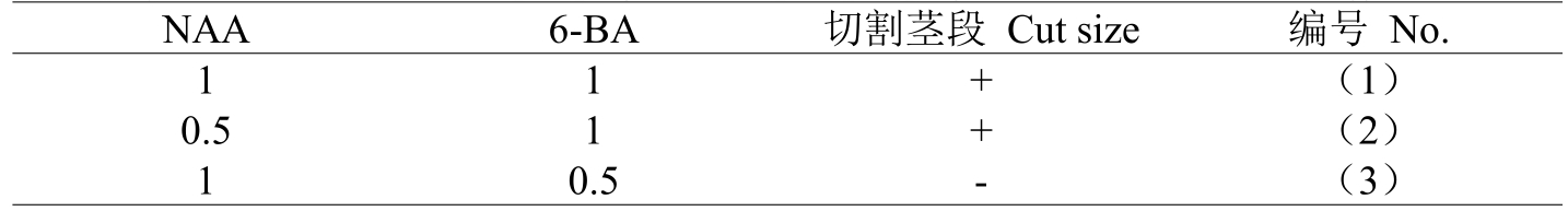 黄瓜下载APP最新版官方下载室設計