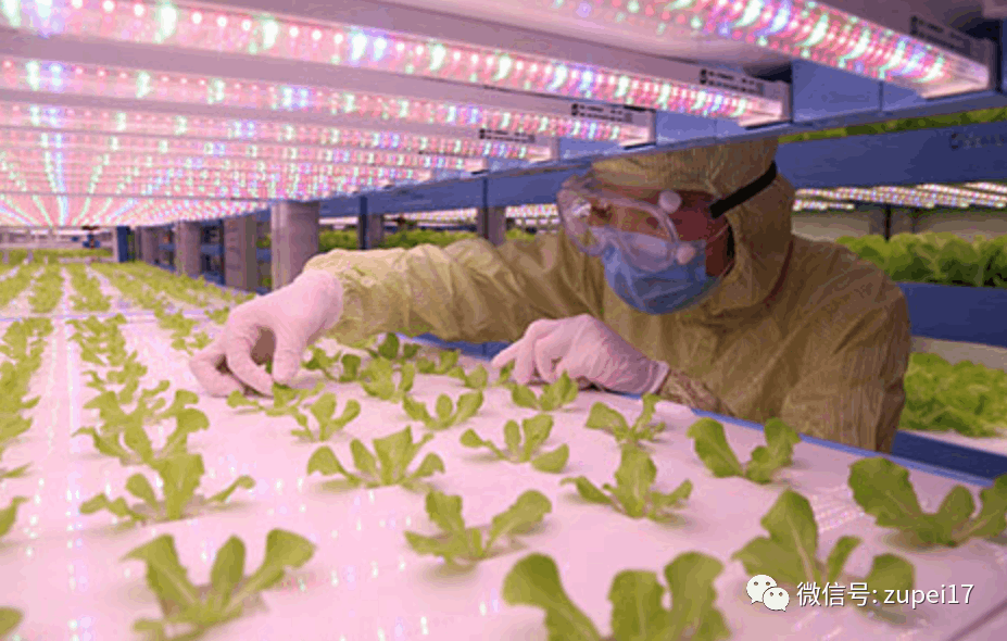 黄瓜下载APP最新版官方下载