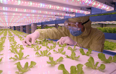 黄瓜下载APP最新版官方下载
