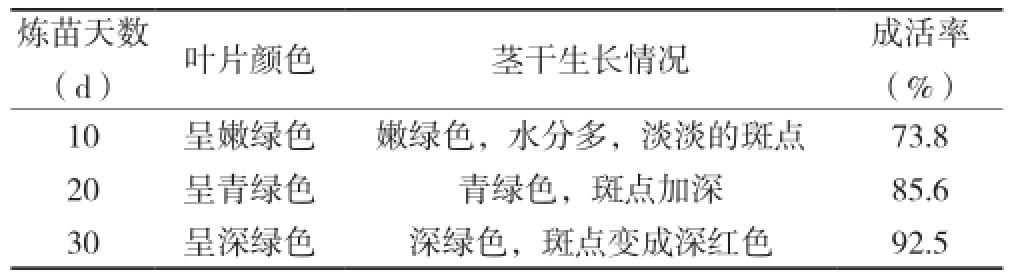 黄瓜下载APP最新版官方下载室設計