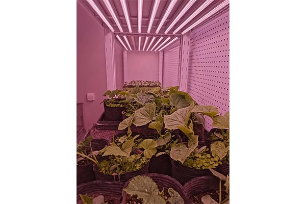 黄瓜下载APP最新版官方下载