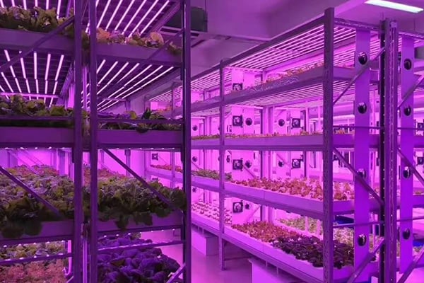 黄瓜下载APP最新版官方下载