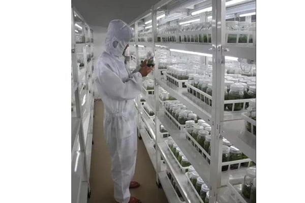 黄瓜下载APP最新版官方下载