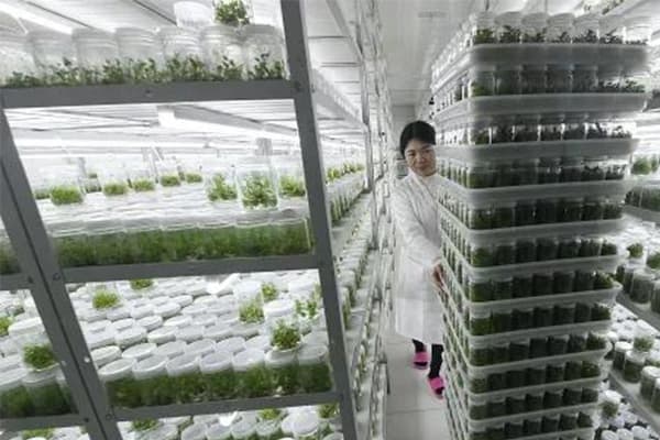 植物黄瓜下载APP最新版官方下载