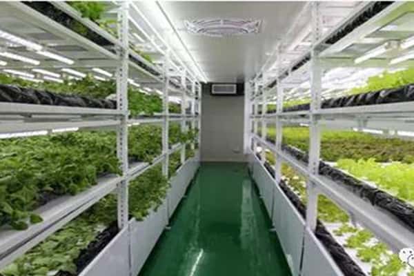 黄瓜下载APP最新版官方下载