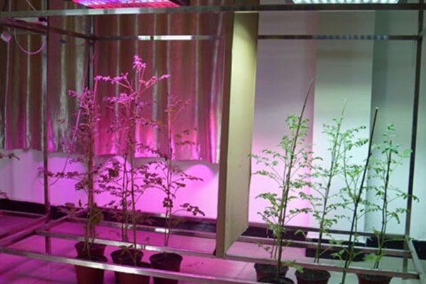 黄瓜下载APP最新版官方下载