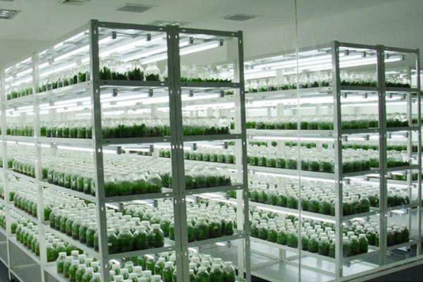 黄瓜下载APP最新版官方下载室淨化