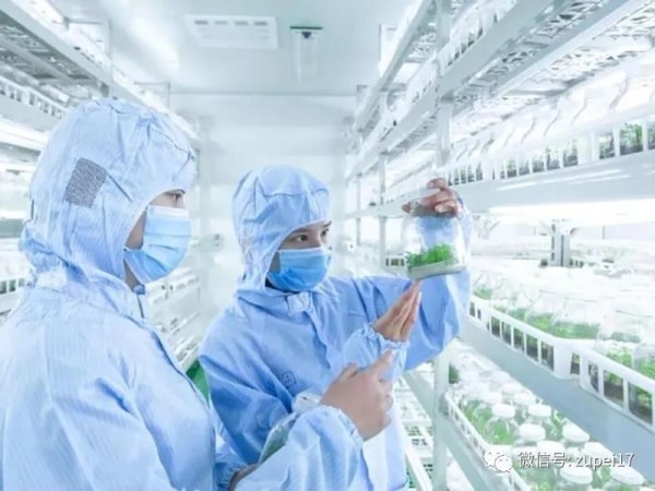 黄瓜下载APP最新版官方下载室建設