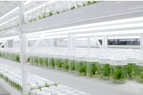黄瓜下载APP最新版官方下载
