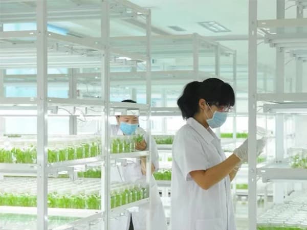 黄瓜下载APP最新版官方下载