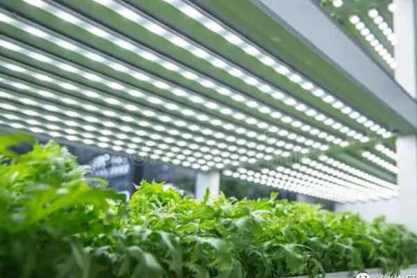 黄瓜下载APP最新版官方下载室建設