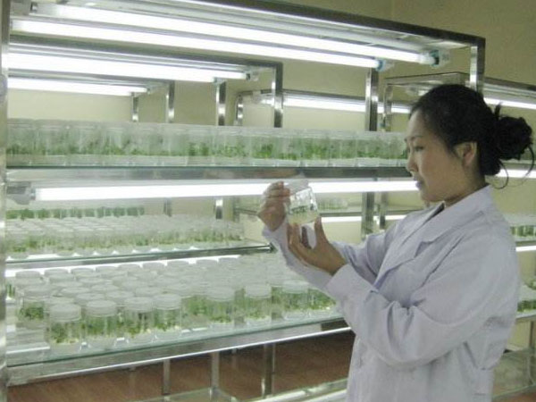 黄瓜下载APP最新版官方下载