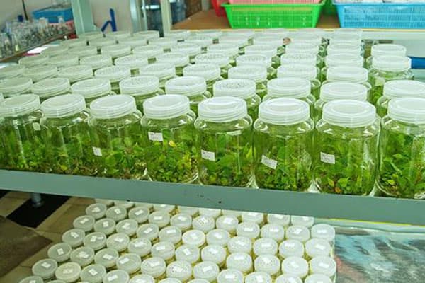 黄瓜下载APP最新版官方下载