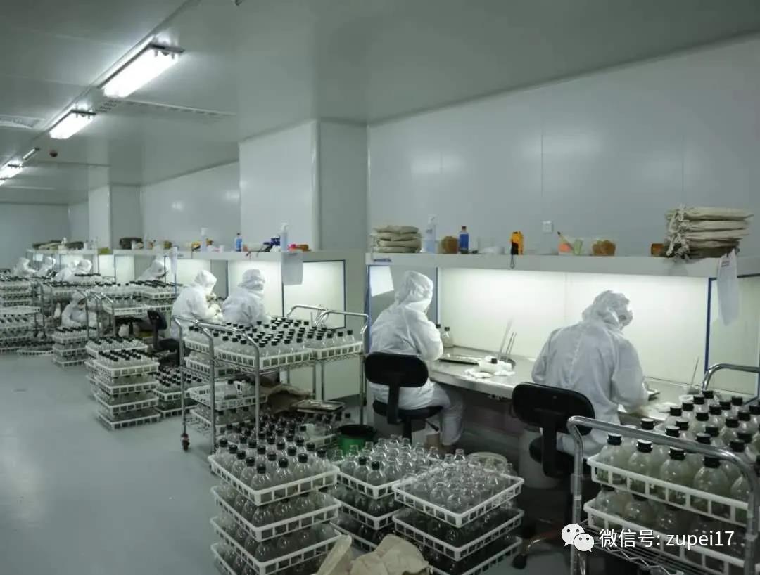 黄瓜下载APP最新版官方下载